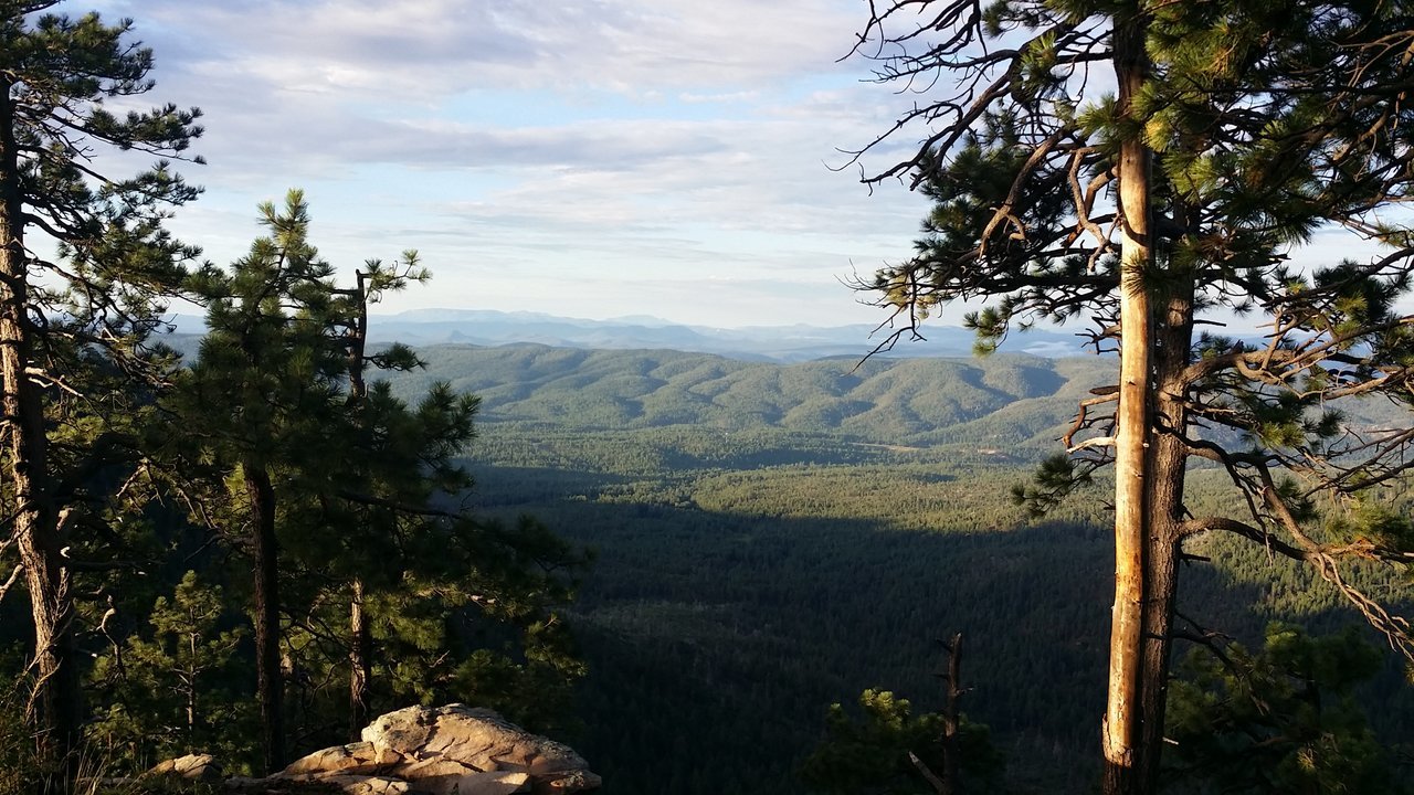 20170722_061625.jpg