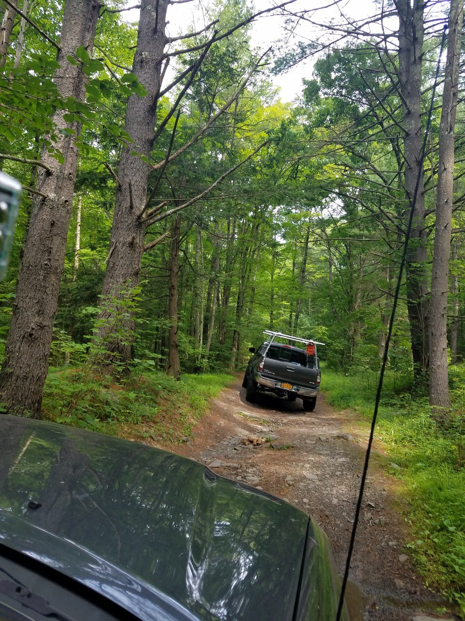 20170722_110556.jpg