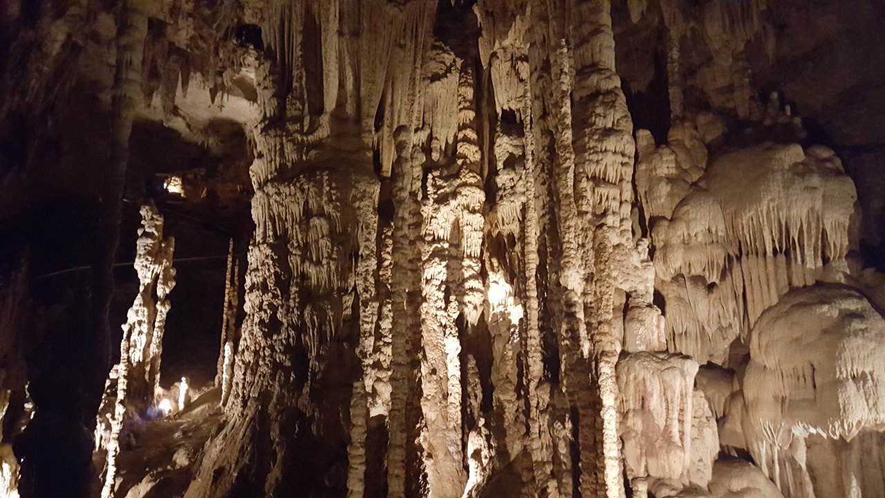 20170722_144808.jpg