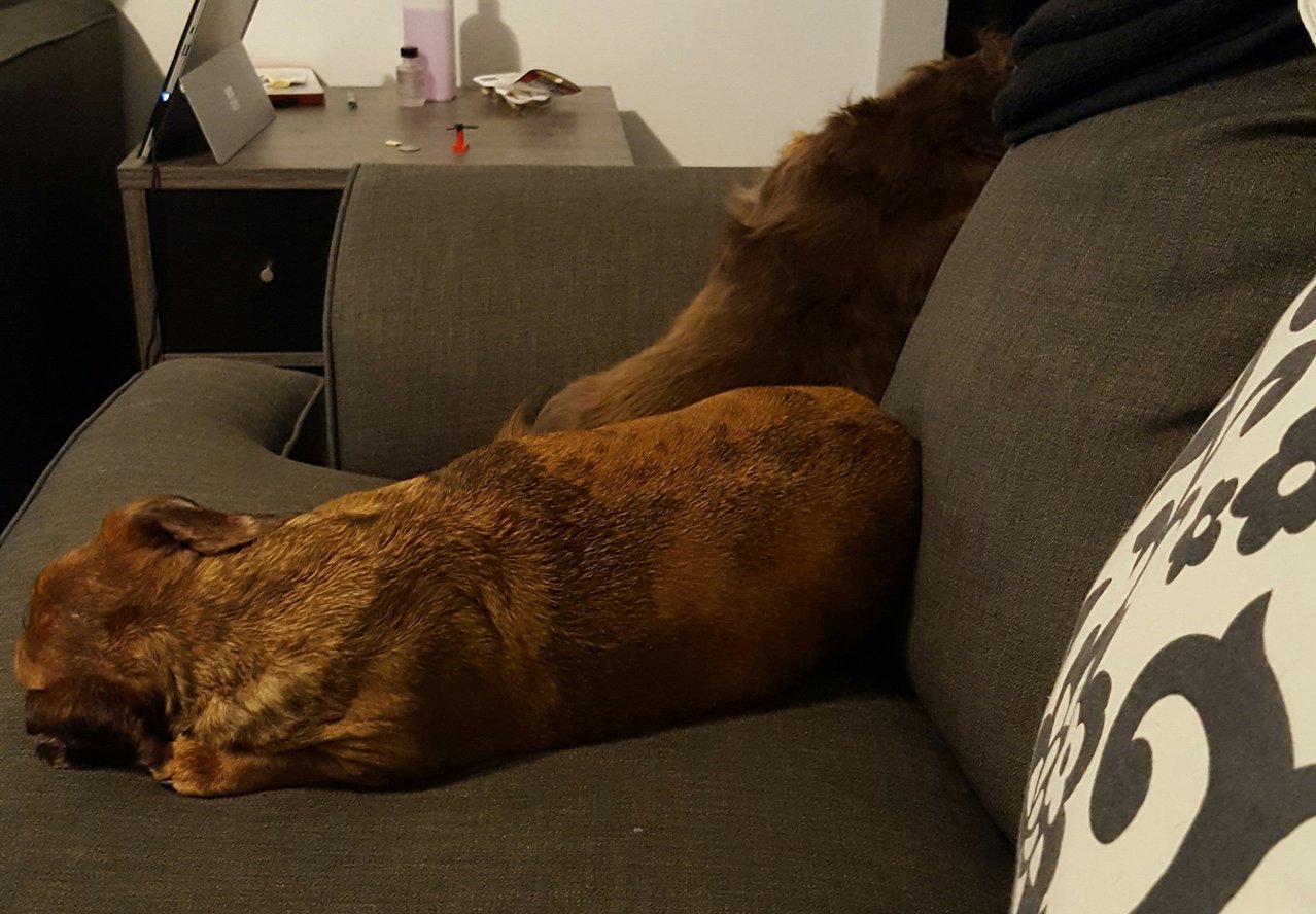 20170722_185914.jpg