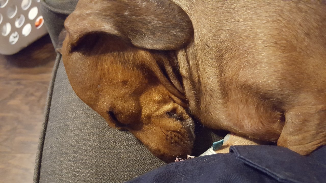 20170722_193843.jpg