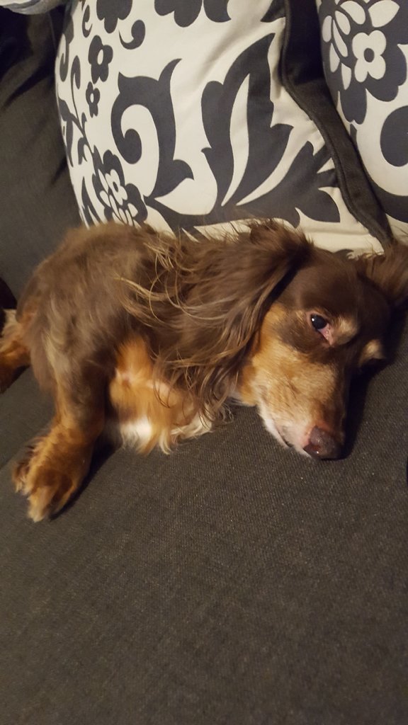 20170722_194343.jpg