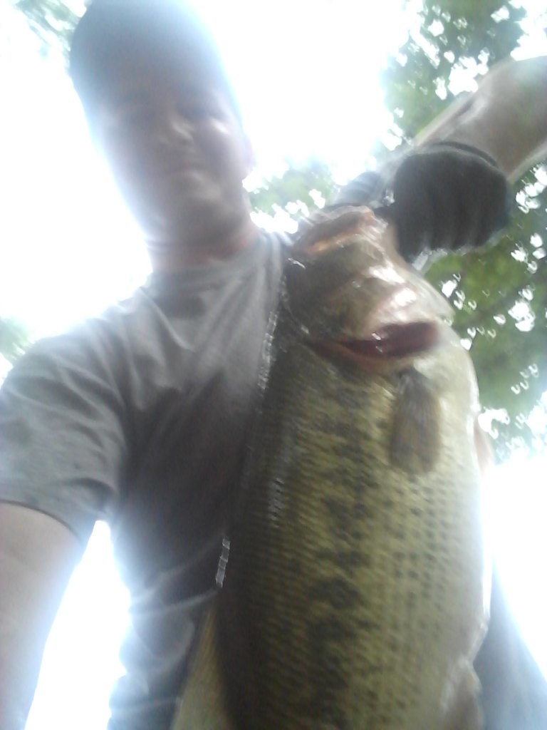 20170722_194455.jpg