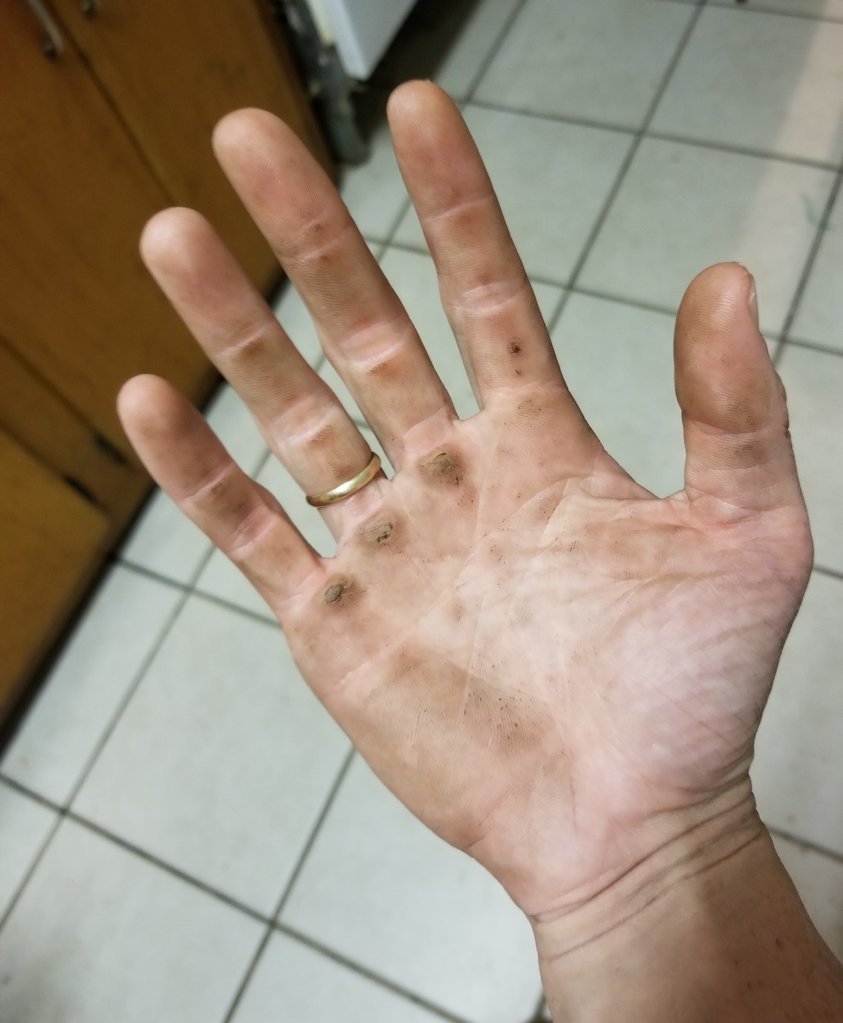 20170723_210135.jpg