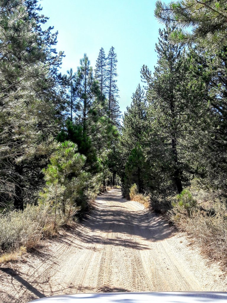 20170725_163154.jpg