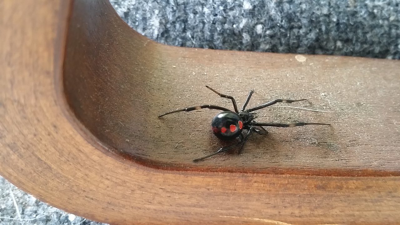 20170727_113142.jpg