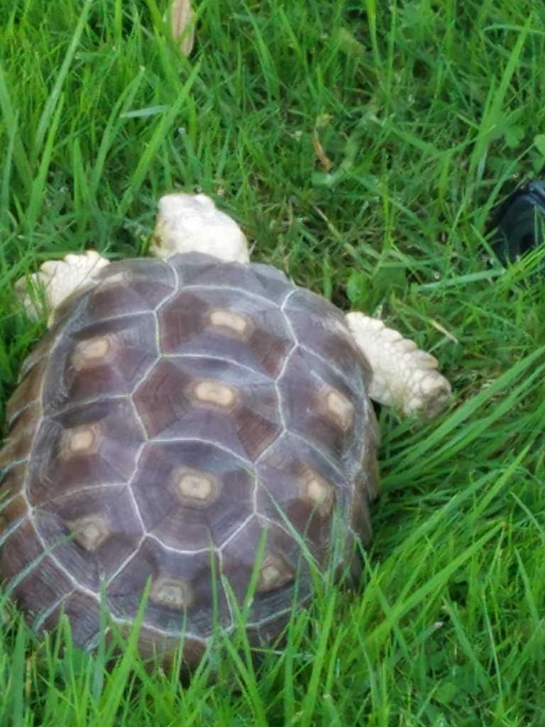 20170727_193118.jpg