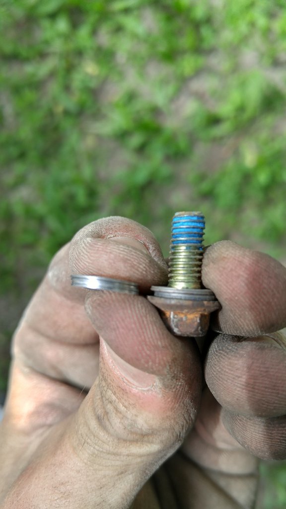 20170728_111135_HDR[1].jpg