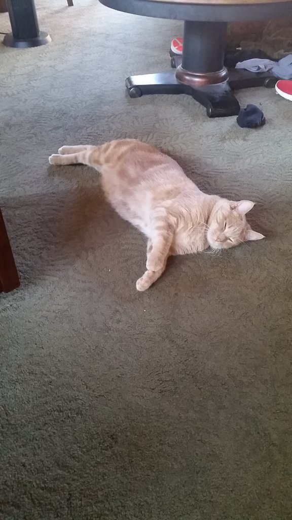 20170728_181740.jpg