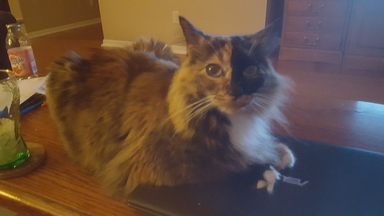 20170728_222011.jpg