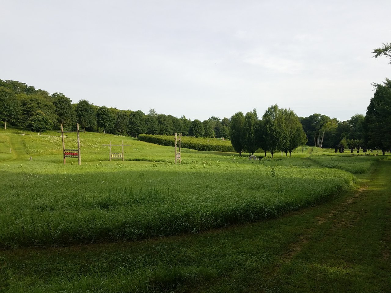20170729_080528.jpg