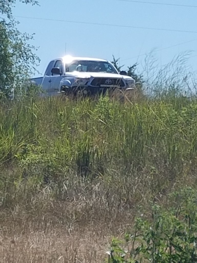 20170729_111054.jpg