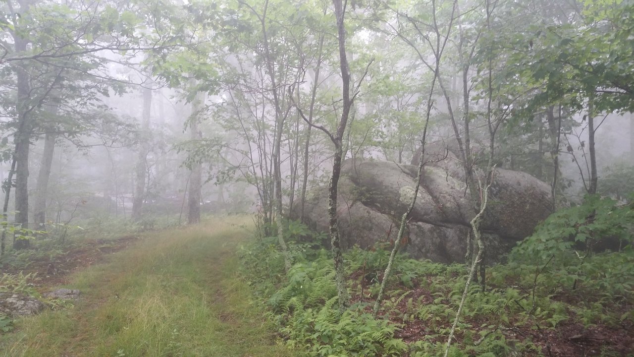 20170729_153643.jpg