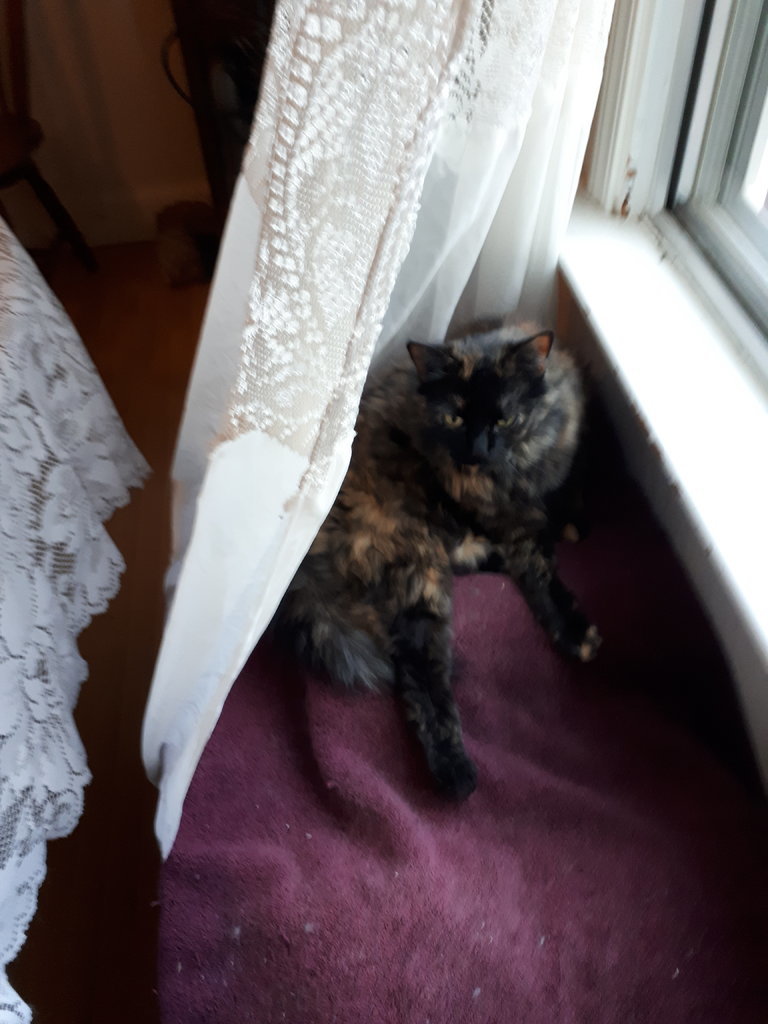 20170729_200149.jpg