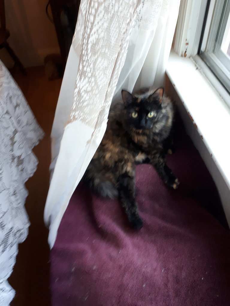 20170729_200151.jpg