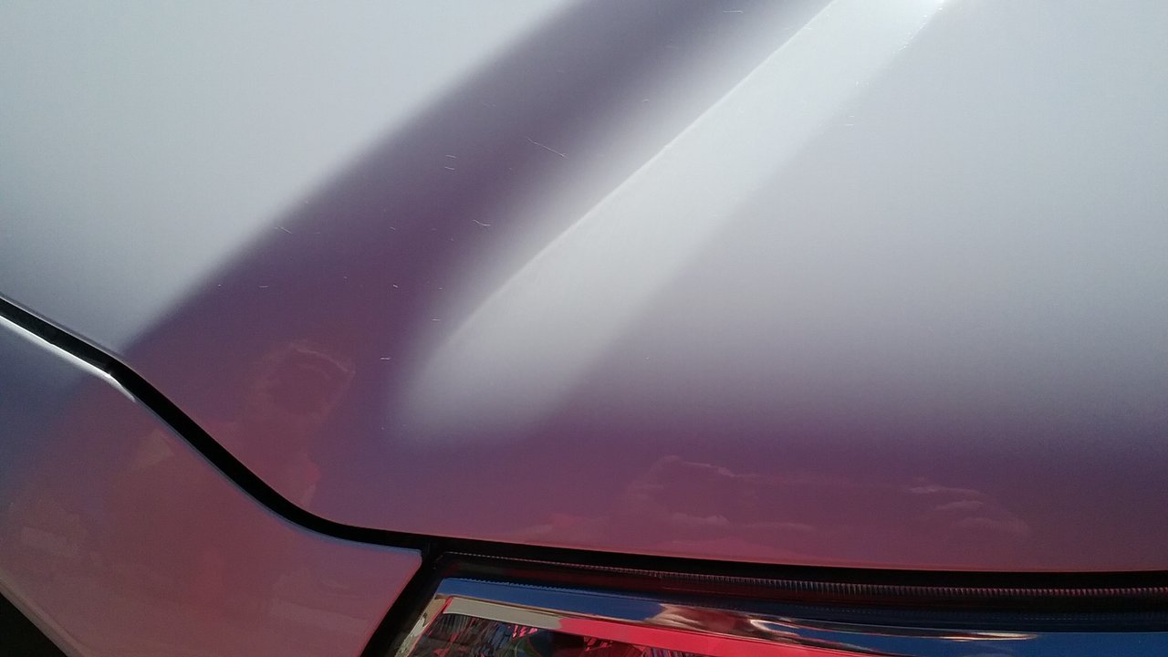 20170730_095728.jpg