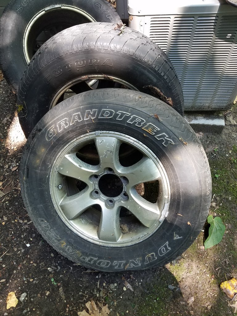20170730_115125.jpg