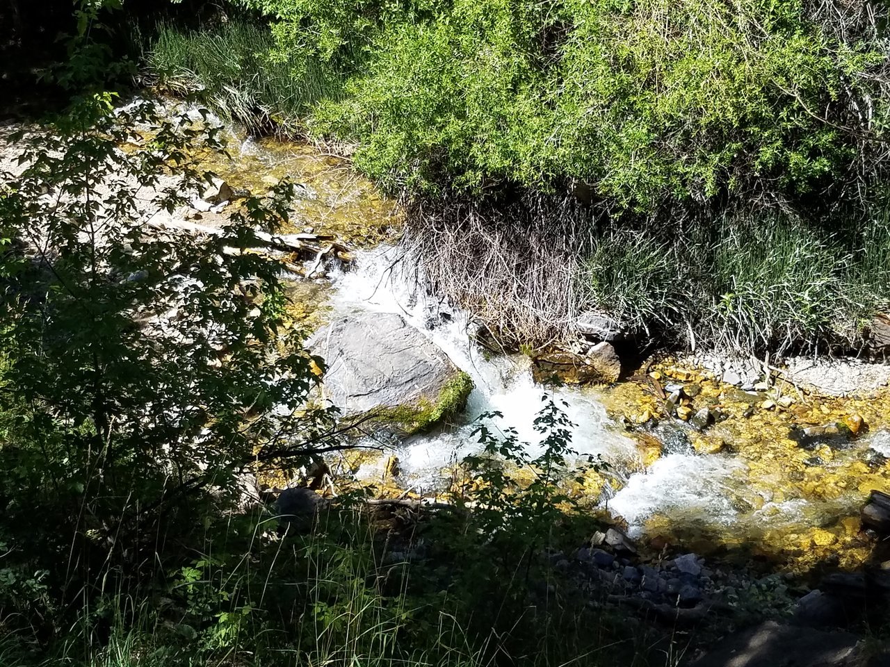 20170730_150450.jpg