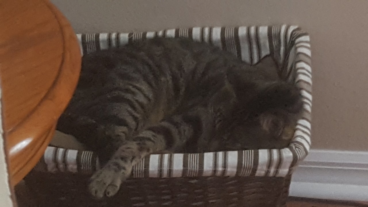 20170730_152232.jpg