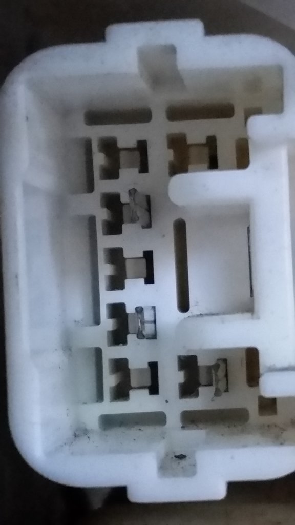 20170730_171933.jpg