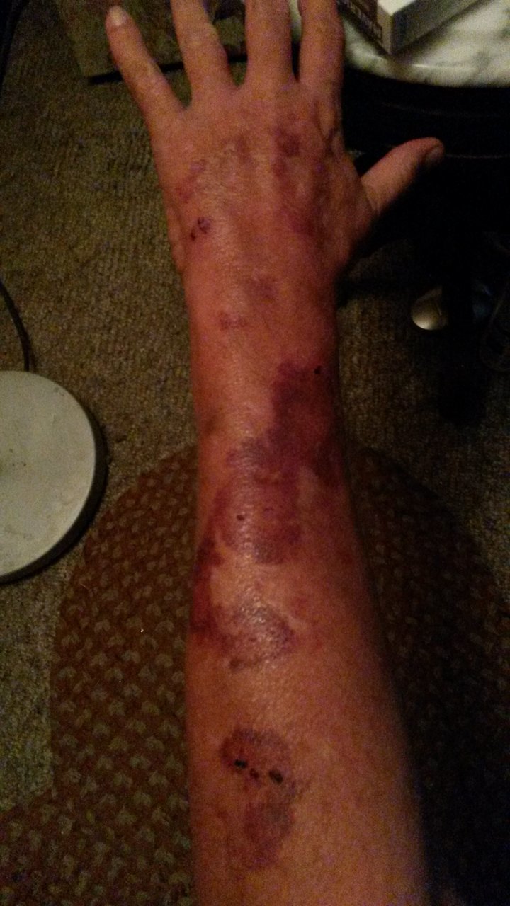 20170731_082345.jpg