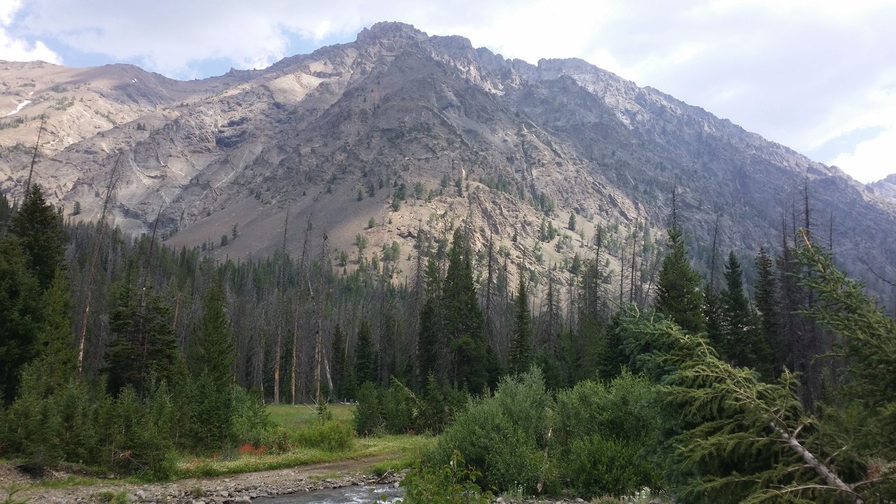 20170731_114542.jpg