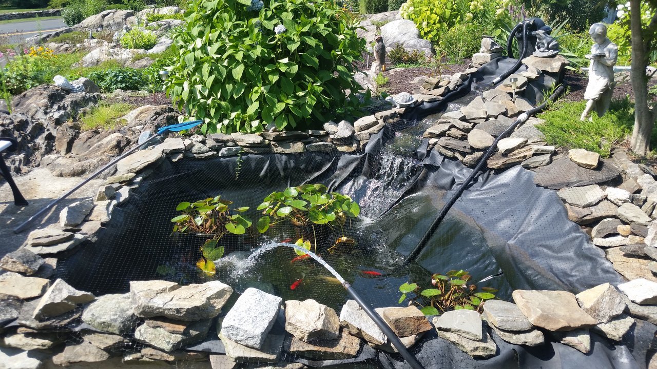 20170731_154802.jpg