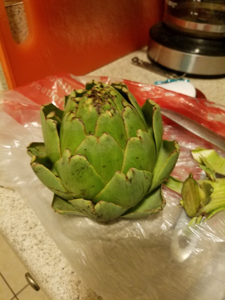 20170803_195526.jpg