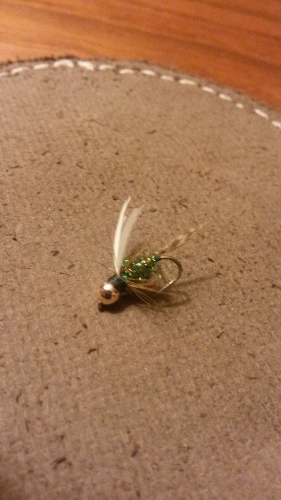 20170803_213523.jpg