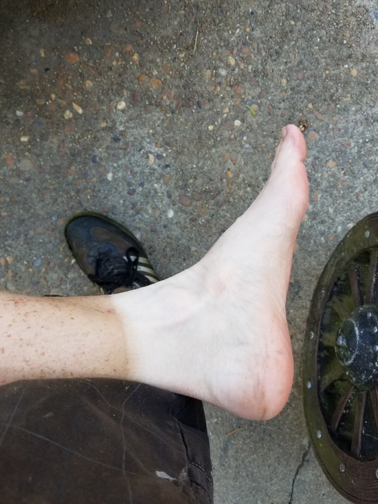20170804_144654.jpg