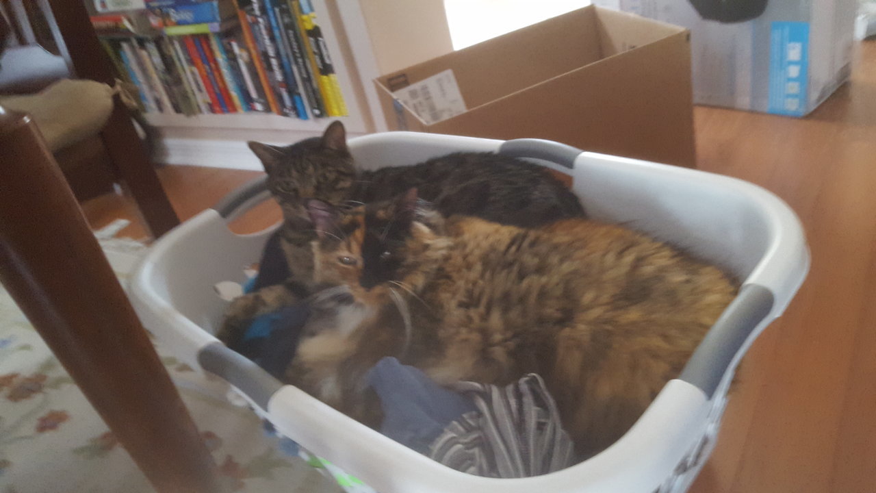 20170806_170714.jpg