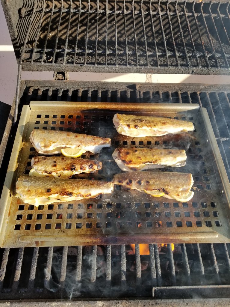 20170806_180355.jpg