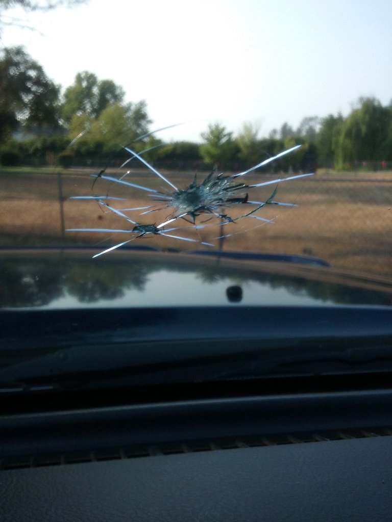 20170808_082552.jpg