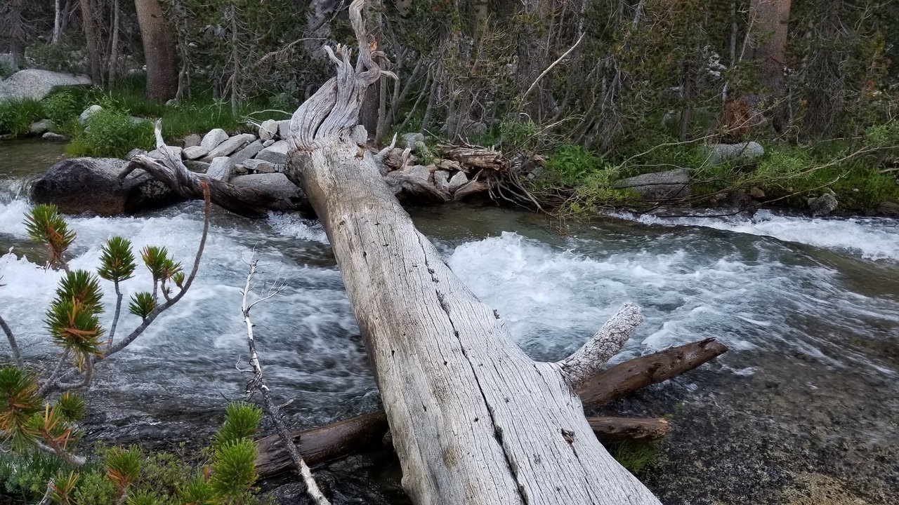 20170811_070703.jpg
