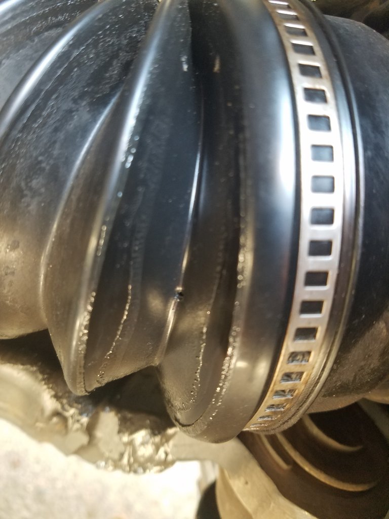 20170811_115836.jpg