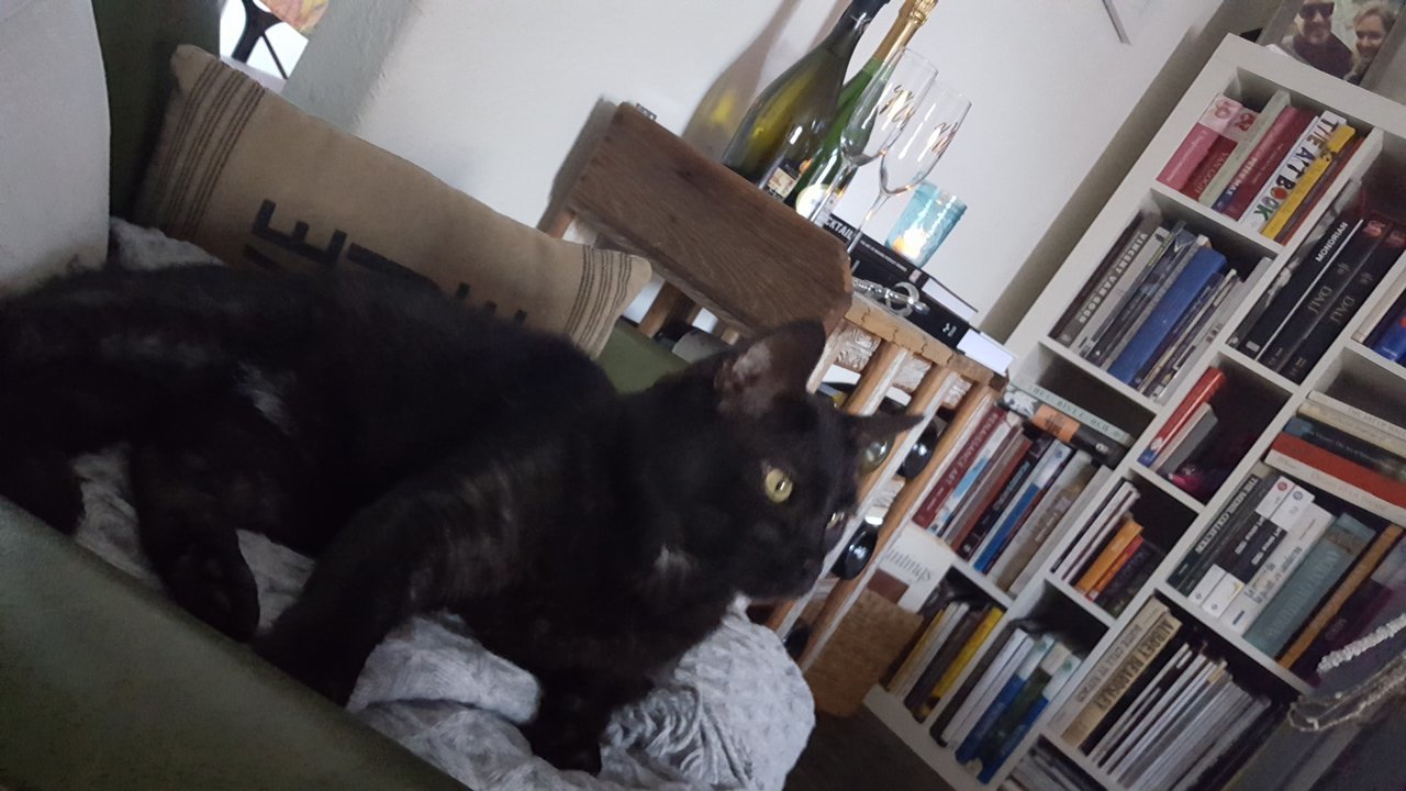 20170811_181959.jpg