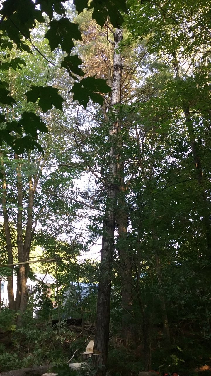 20170812_173759_resized.jpg