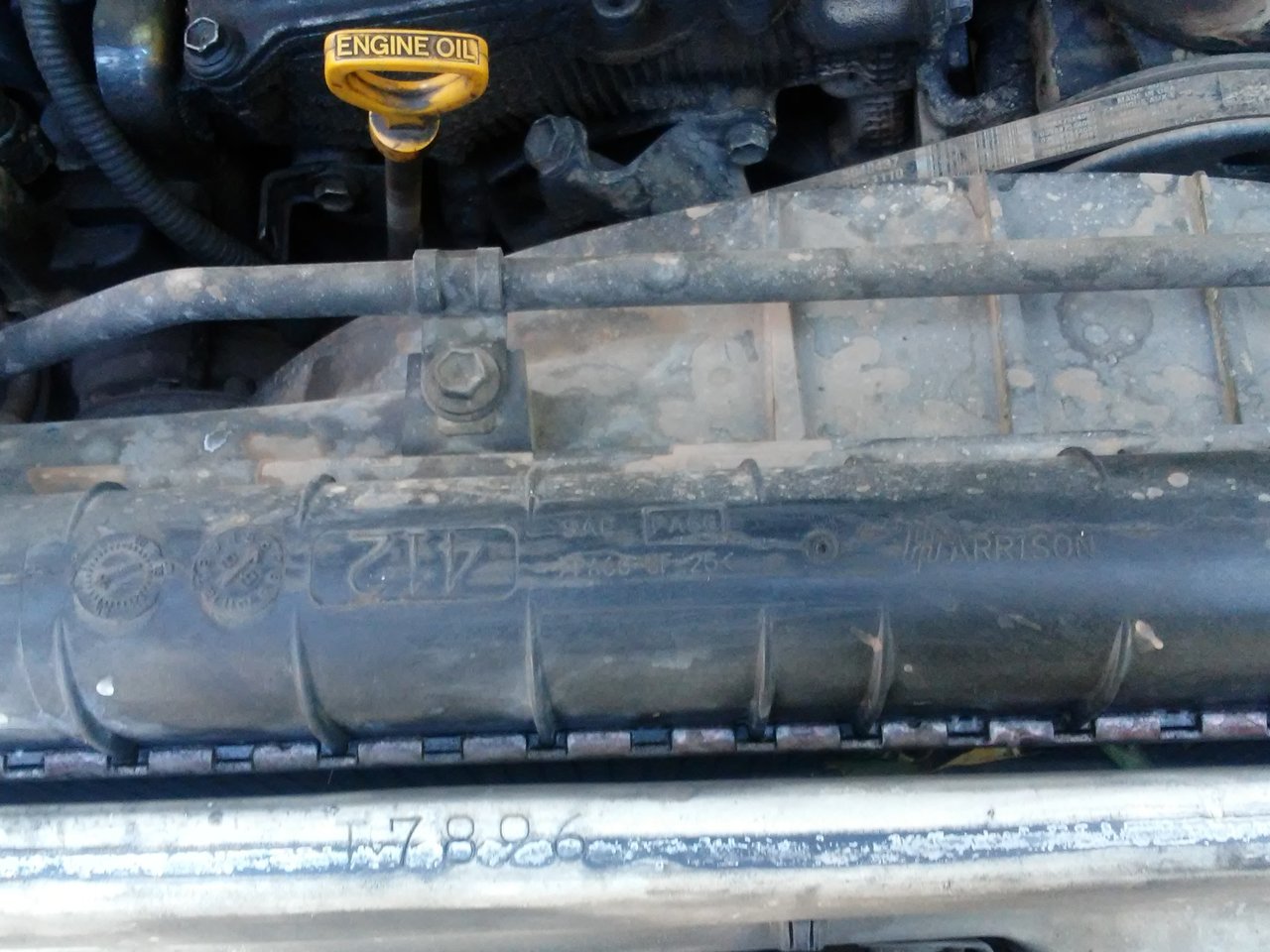 20170813_103923.jpg