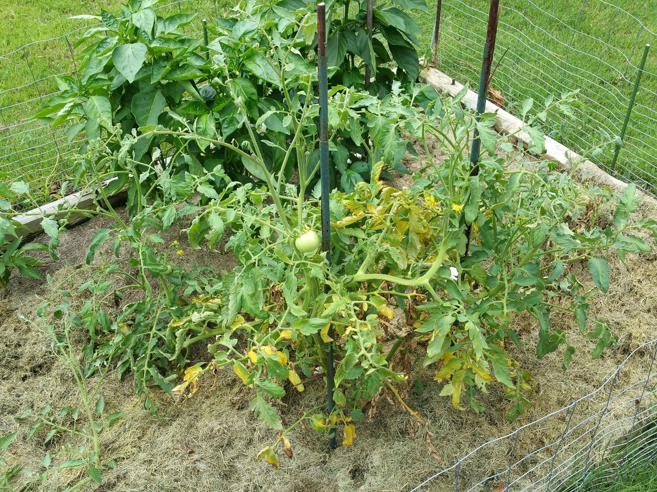 20170813_122810.jpg