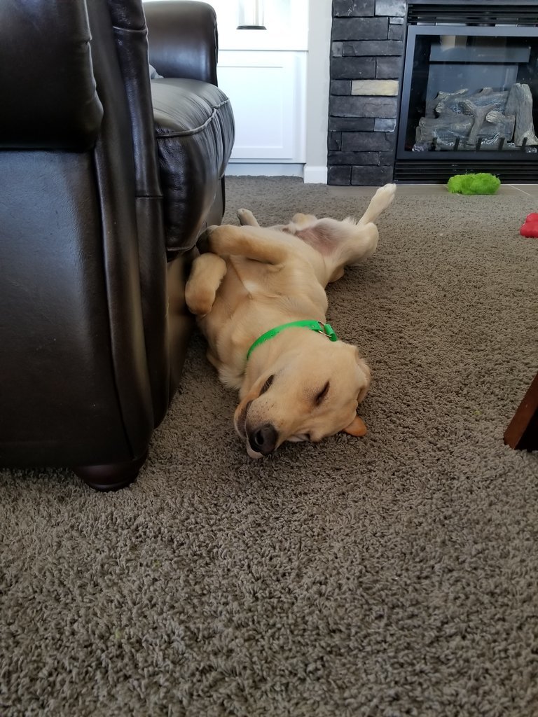 20170813_165127.jpg
