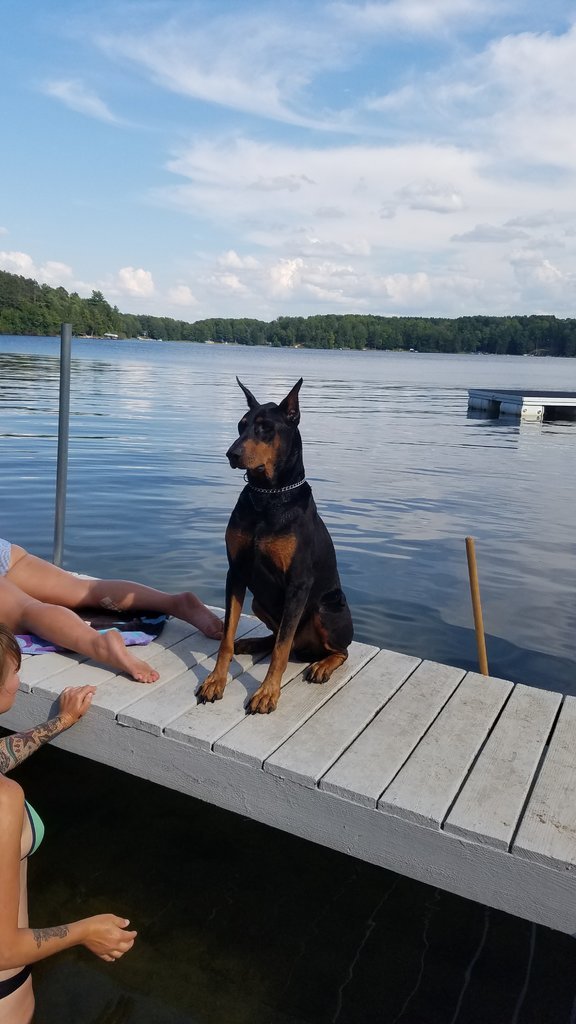 20170813_165951.jpg