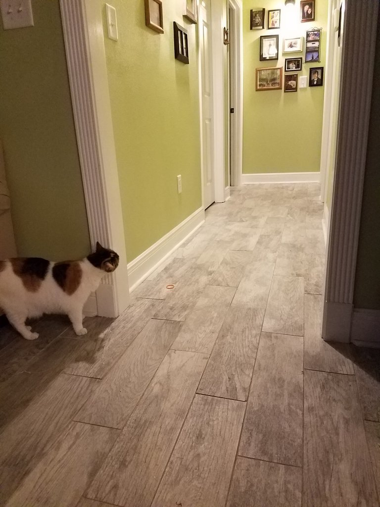 20170813_203441.jpg