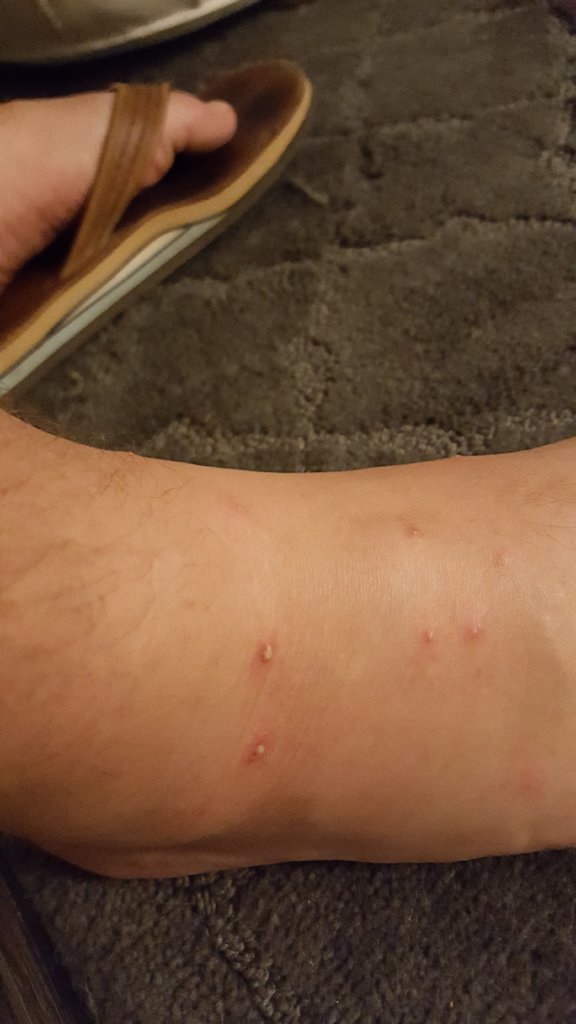 20170814_194544.jpg