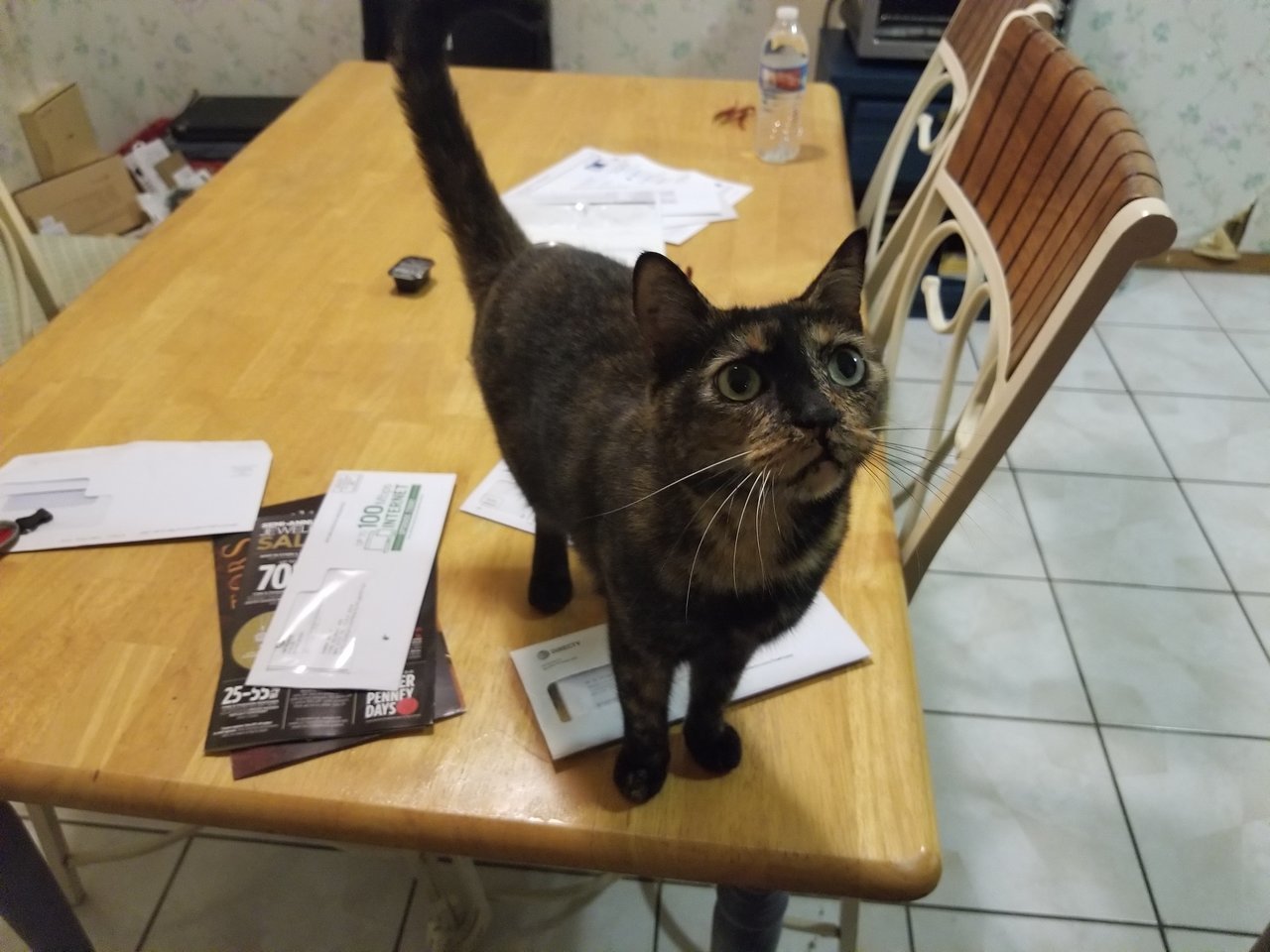 20170815_203447.jpg