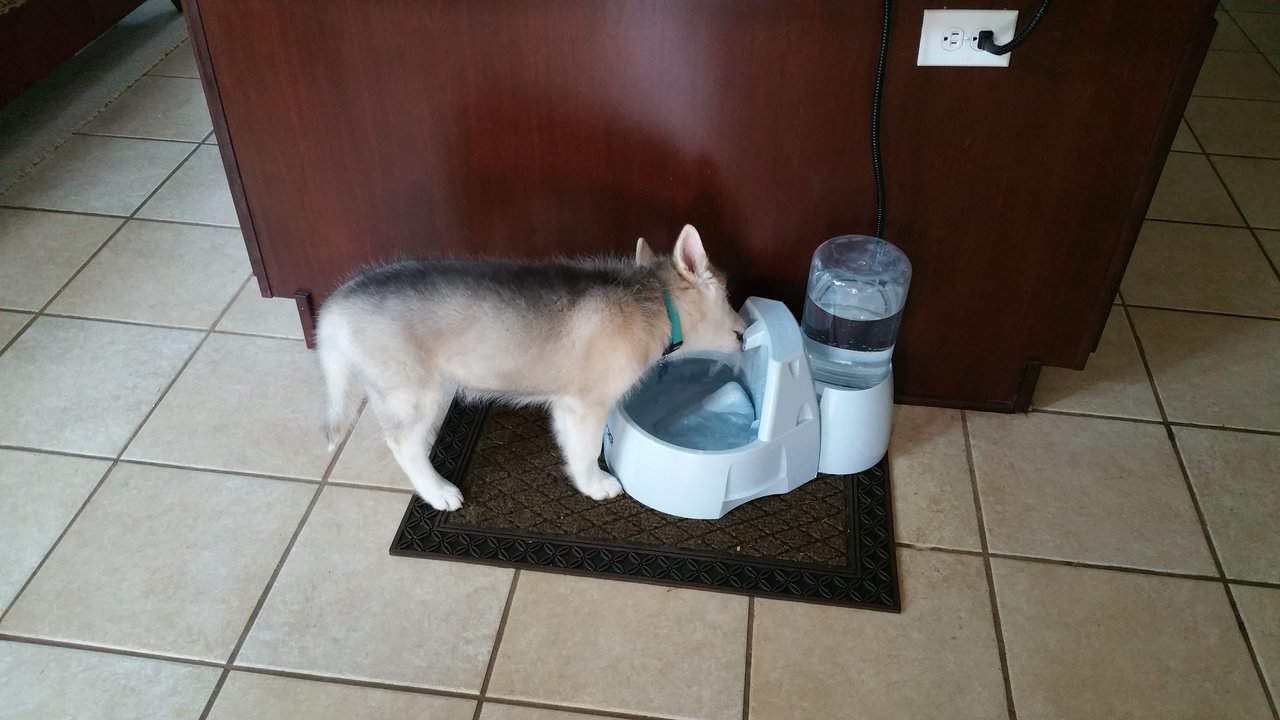 20170816_163922.jpg