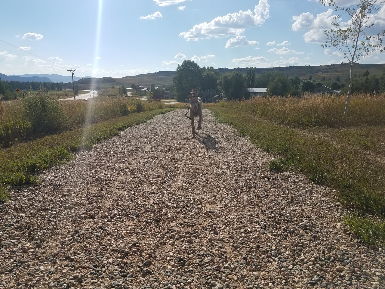 20170816_170806.jpg