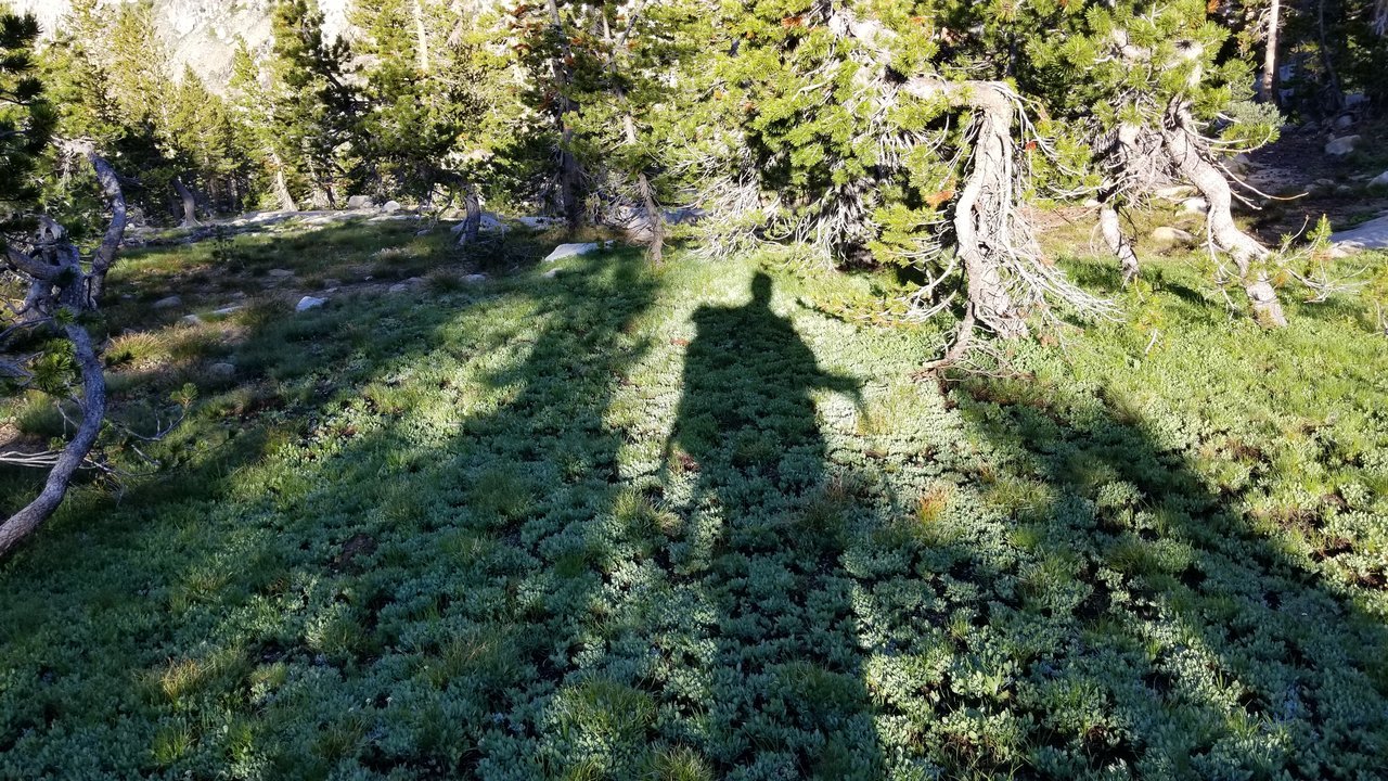 20170817_073940.jpg