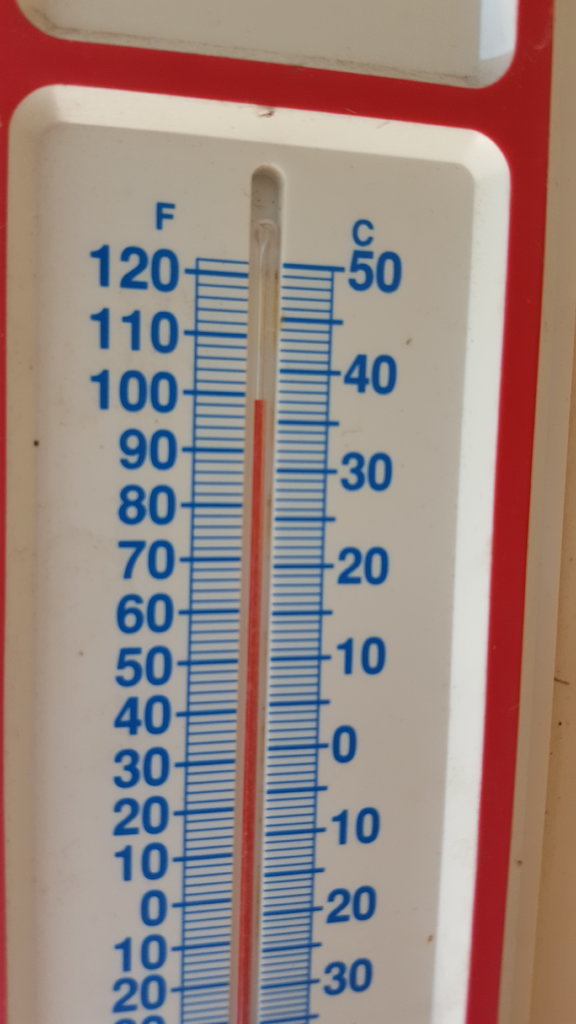 20170817_162911.jpg