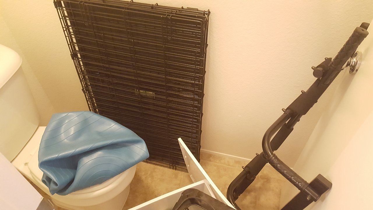20170819_013434.jpg
