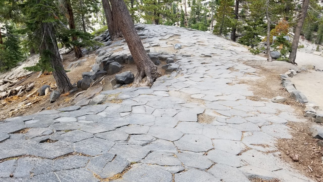 20170819_111313.jpg